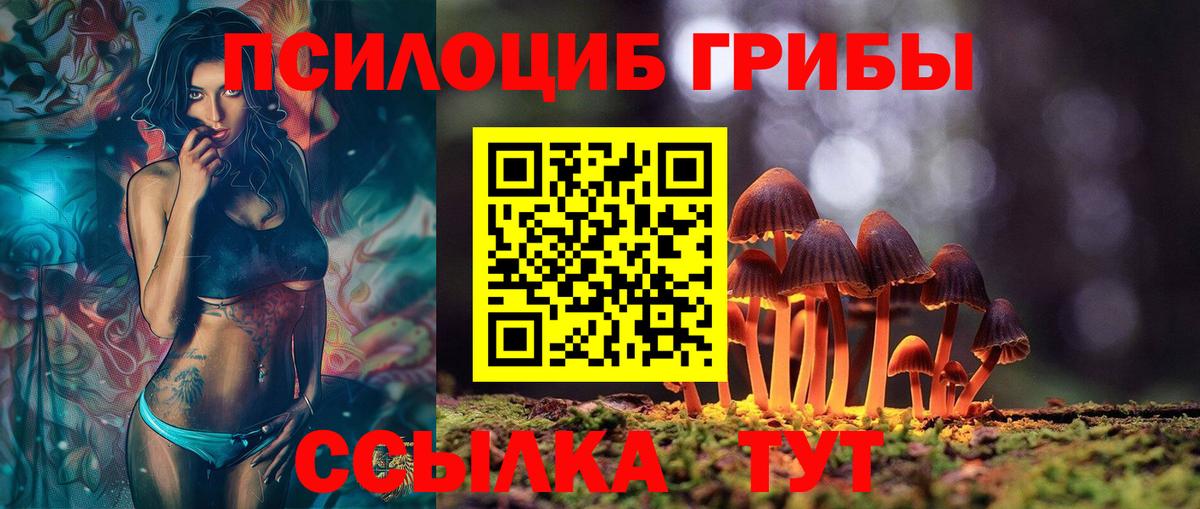 Зима  наркошоп  Вход с VPN  Галлюциногенные грибы GOLDEN TEACHER 