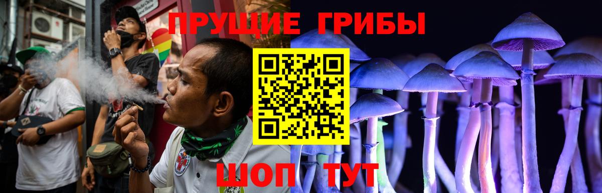 Галлюциногенные грибы Magic Shrooms Зима